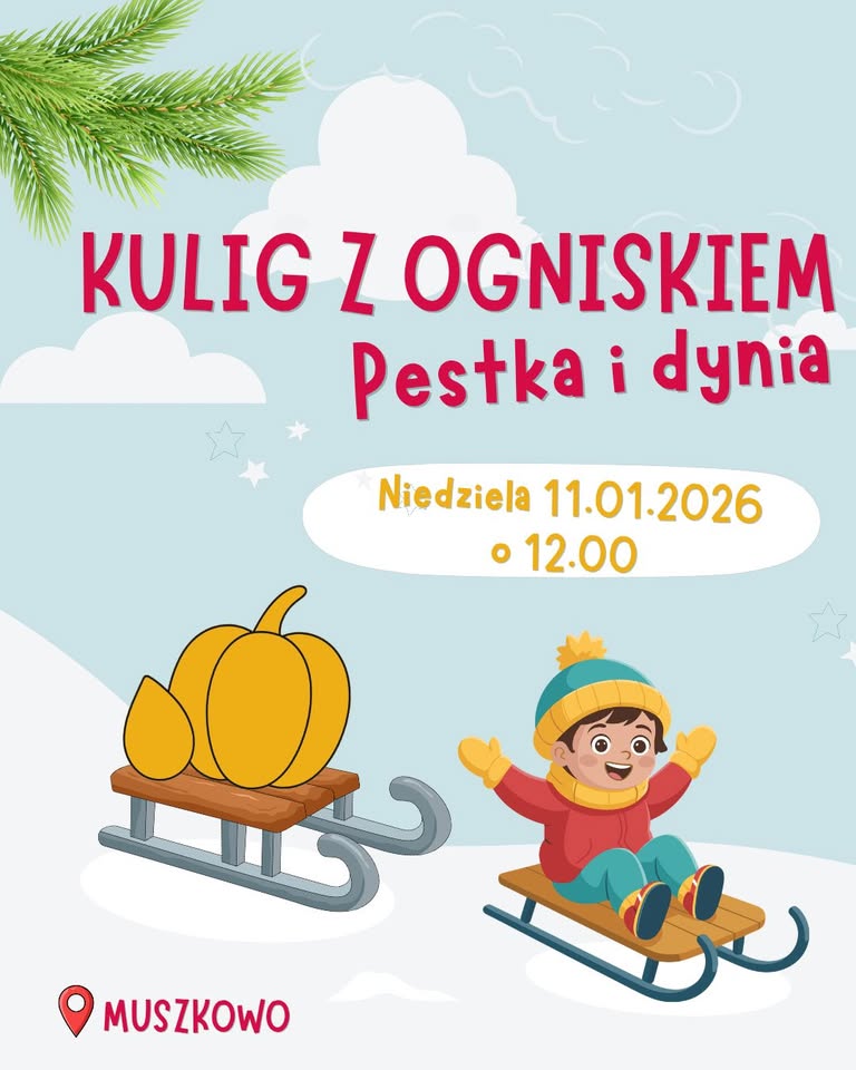 Piknik zimowy ❄️🤍 Kulig z ogniskiem