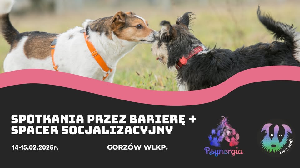 Spotkanie komunikacyjne z użyciem bariery + spacer socjalizacyjny