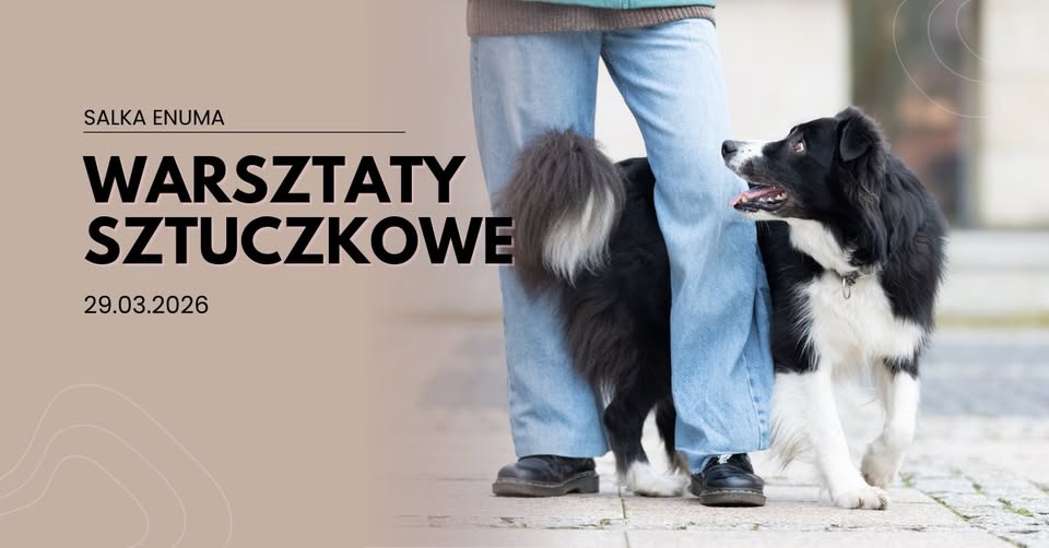 Warsztaty sztuczkowe w Enuma
