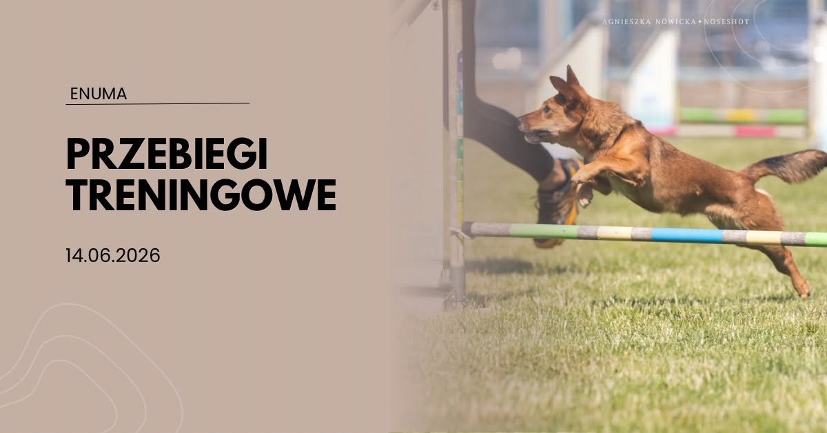 Przebiegi Treningowe Agility dla Przyjaciół Enuma