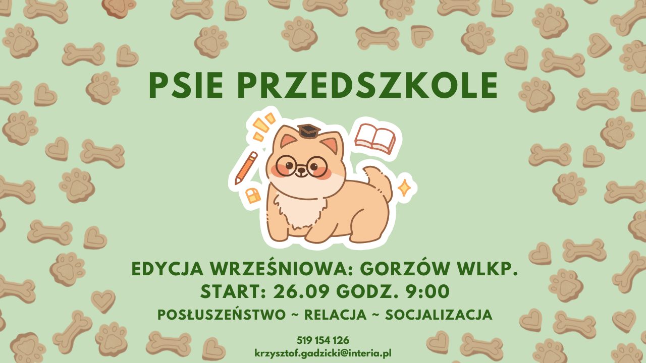 Psie przedszkole – wrzesień. Gorzów Wlkp. start 26.09 godz. 9:00