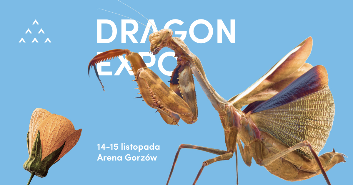 Event Terrarystyczny i Botaniczny Dragon Expo / Gorzów Wlkp